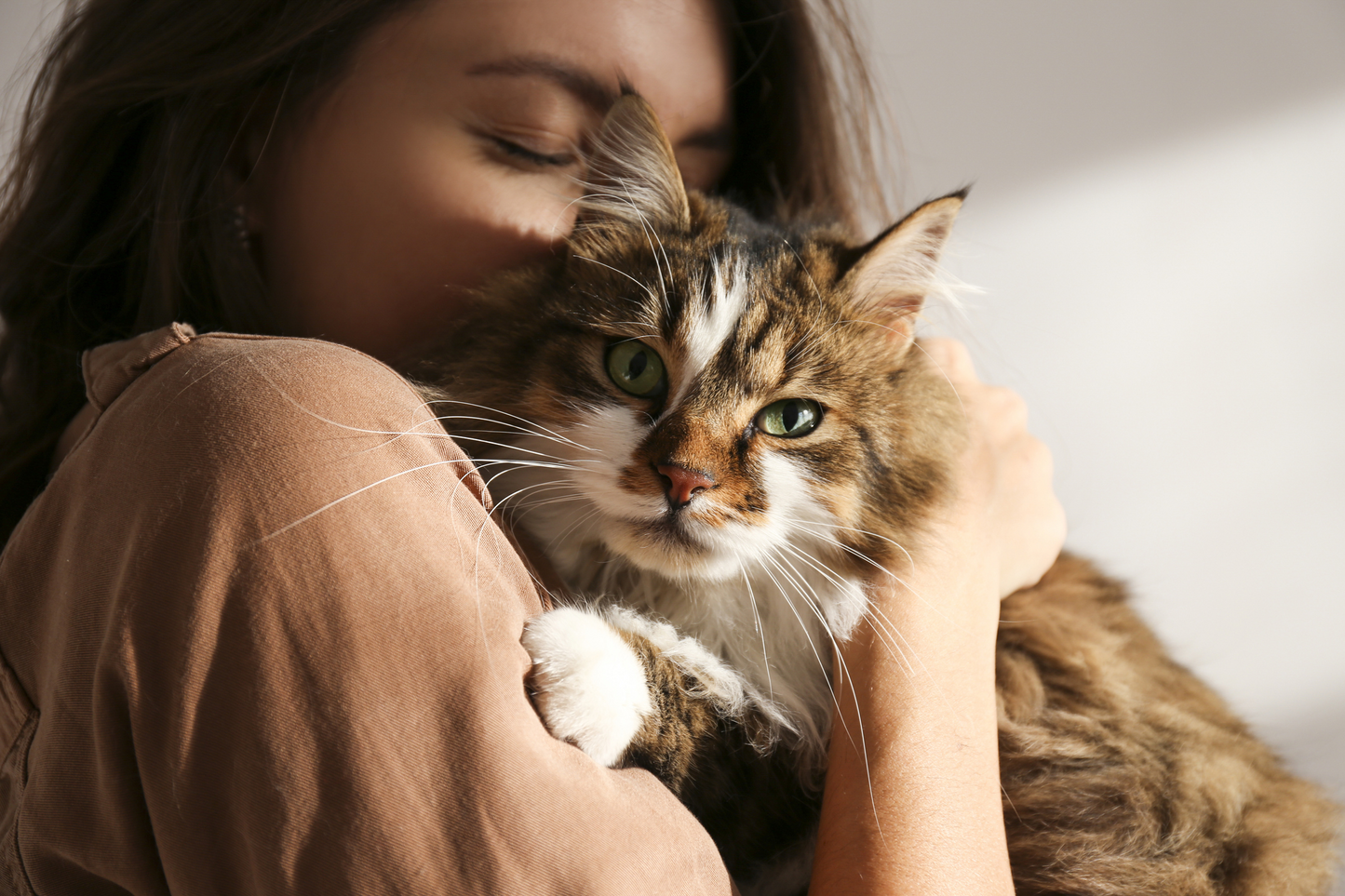 Preventing kidney illness in cats and supporting cats with kidney disease